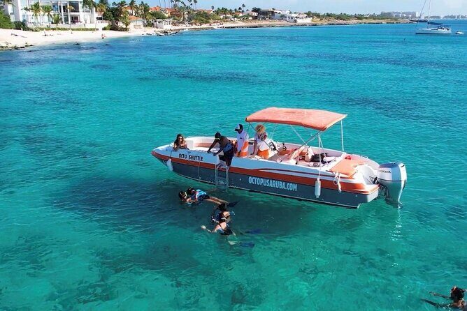 Private Aruba Snorkeling Excursion with Rum Punch - Malmok Beach Near Boca Catalina: Rocky Entry, Great Wildlife