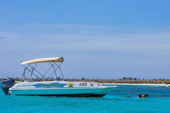 Private Boat Cruise with Snorkeling - Why this private setup is worth your $199