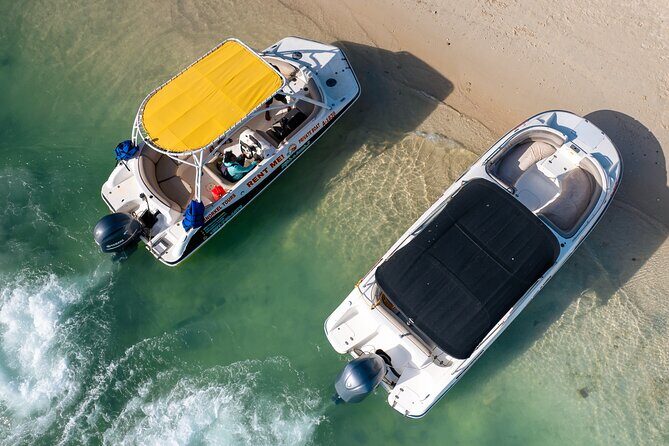 Private Boat & Snorkeling Adventure on Aruba’s Crystal Coast - What happens during the 2 hours on the water