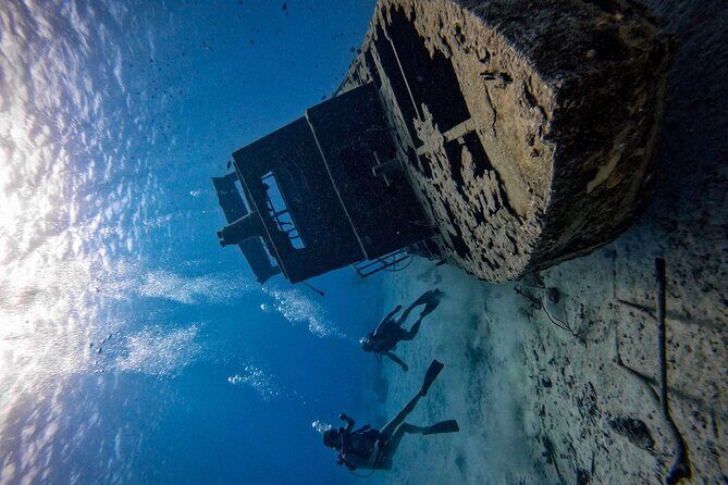 Private Dive + videographer/Photographer (Certified divers only) - Choosing the reef site: how your guide steers what you see and photograph