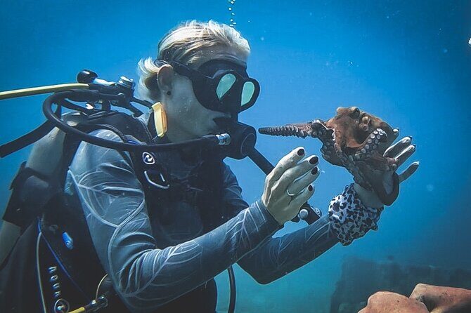 Private Dive + videographer/Photographer (Certified divers only) - Optional boat add-on: when paying extra can make sense
