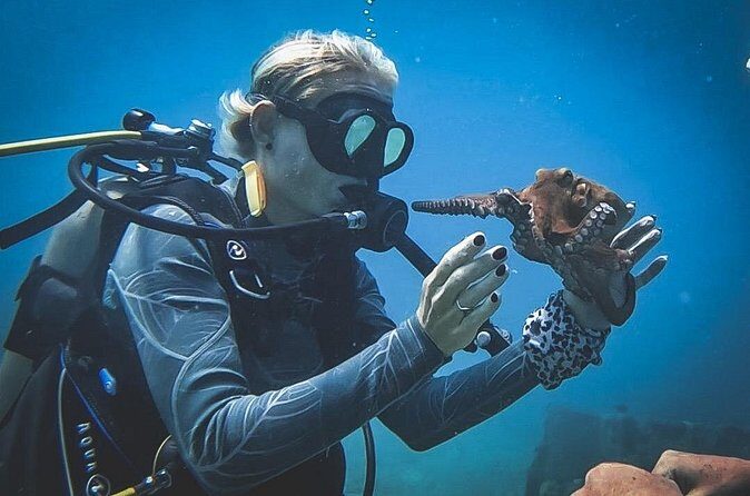 Private Dive + videographer/Photographer (Certified divers only) - Price check: does $120 feel fair for what you’re actually buying?