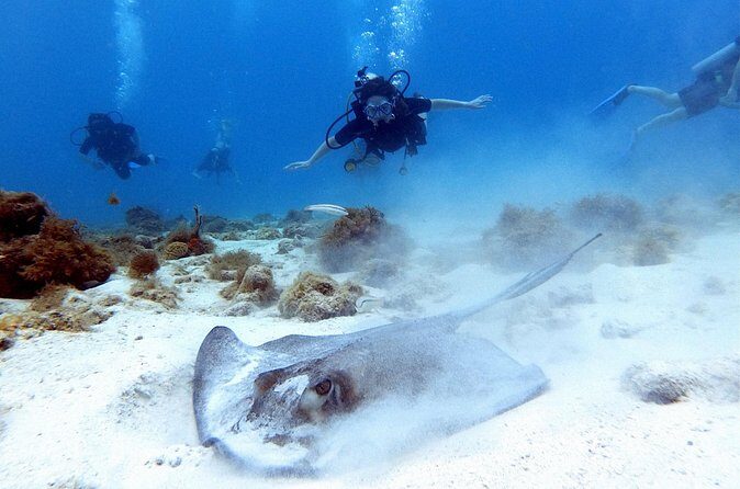 Private Dive + videographer/Photographer (Certified divers only) - Getting the most out of the photography: small choices that matter