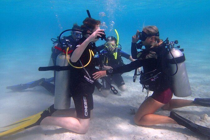 Private First-Time Dive on Aruba’s Reef and Wreck Site - Key highlights worth planning around