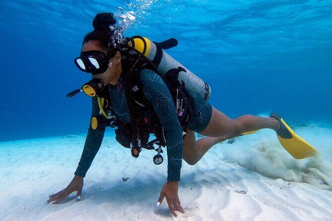 Private First-Time Dive on Aruba’s Reef and Wreck Site - Comfort reality check: fins, blisters, and the few rules you must follow