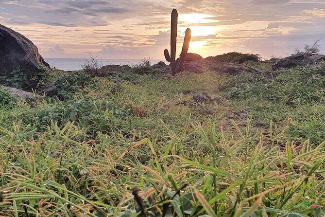 Private Guided Beach Meditation & Hike + Transfer - Sunrise Morning at Alto Vista Chapel (Noord)