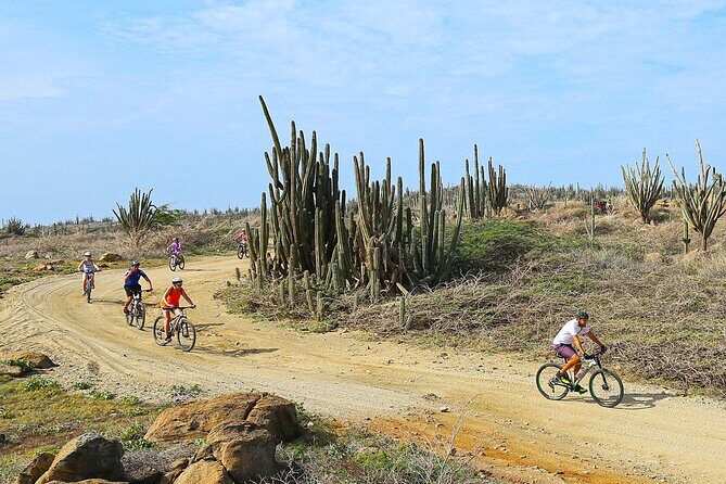 Private Mountain Bike Tour in Aruba - Cactus Trails and Coastal Views in Just Two Hours
