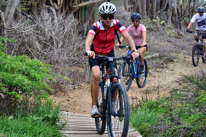 Private Mountain Bike Tour in Aruba - Price and Value: What $90 Buys You on Aruba
