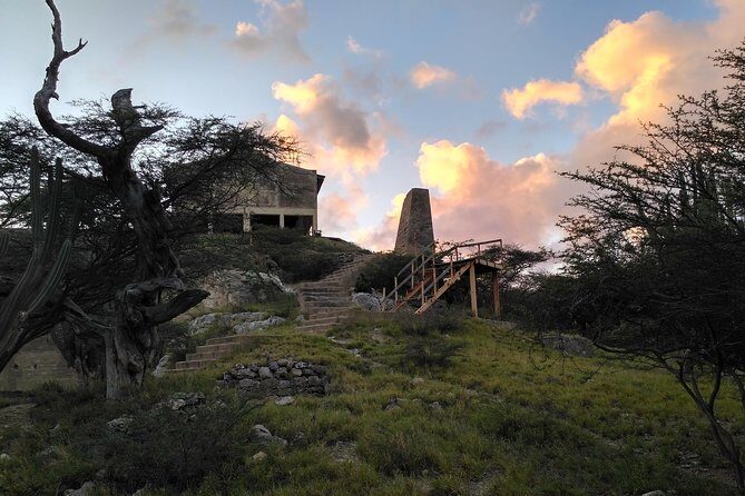 Private nature tour: Aruban mangrove forest & pristine coral reef - A calm Aruba morning: what this 5-hour plan feels like