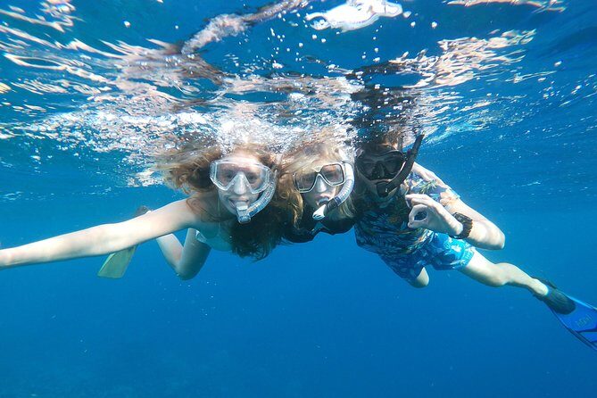 Private nature tour: Aruban mangrove forest & pristine coral reef - Mangel Halto Beach: guided shore snorkeling on the outer reef