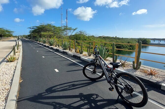 Private Road to San Nicolas Culture Heritage by E-Bike Aruba - Spanish Lagoon: Wildlife-Wetland Context Without the Lecture Feeling