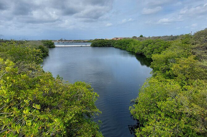 Private Road to San Nicolas Culture Heritage by E-Bike Aruba - City-Centre Focus: Art Murals, Galleries, and the Museum of Industry