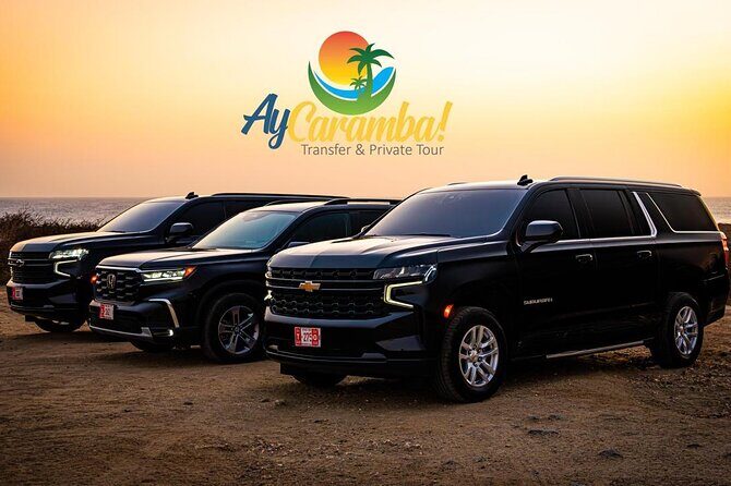Private Round-Trip Airport Transfers Aruba - Entering Aruba Flow Fast at Queen Beatrix (AUA)