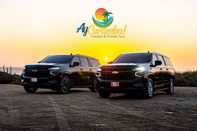 Private Round-Trip Airport Transfers Aruba - Meeting Your Driver: Flight Tracking and a Sign With Your Name