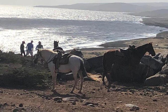 Private Sunset Horseback Ride - Key Points to Know Before You Ride