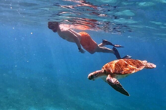 Private Turtle Spotting Snorkeling Excursion in Aruba - Meet the guide team that mixes safety, instruction, and filming
