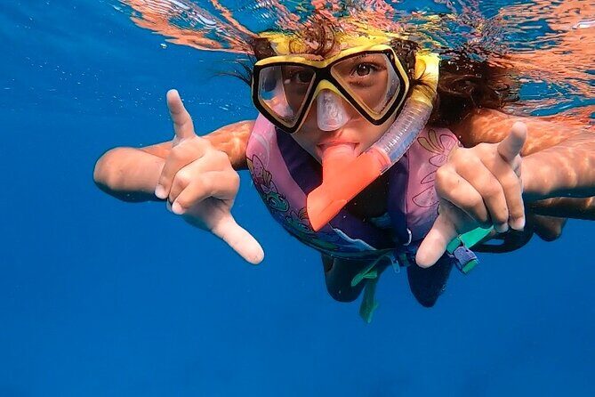 Private Turtle Spotting Snorkeling Excursion in Aruba - Getting the most out of it: small prep that makes a big difference