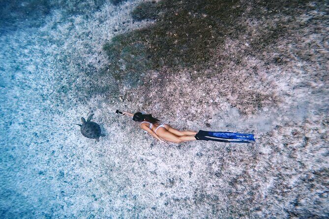 Private Turtle Spotting Snorkeling Excursion in Aruba - The turtle-spotting plan: swimming so they stay comfortable