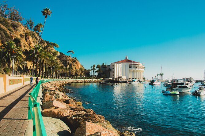 Scenic Aruba Self-Guided Driving and Walking Audio Tour - Boca Catalina Beach and Catalina Cove: sea turtle spotting vibes