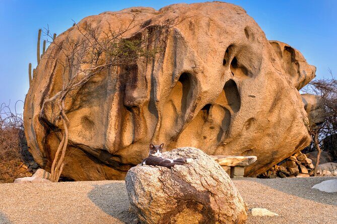 Scenic Aruba Self-Guided Driving and Walking Audio Tour - Alto Vista Chapel and Casibari Rock Formations: small stops, big geology