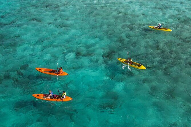 Sea Glass Island and Clear Kayak Adventure - Key Takeaways Before You Go