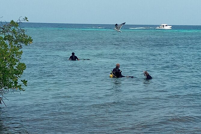 Shore Dive Aruba for Certified Divers - Facilities that reduce the pre- and post-water hassle