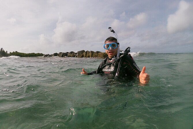 Shore Dive Aruba for Certified Divers - Who this is best for (and who should think twice)