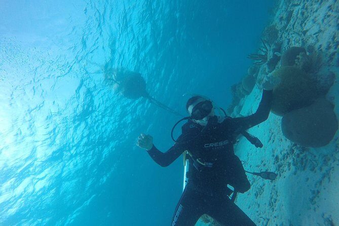 Shore Dive Aruba for Certified Divers - What happens during the ~2-hour session (and what to expect on shore entry)