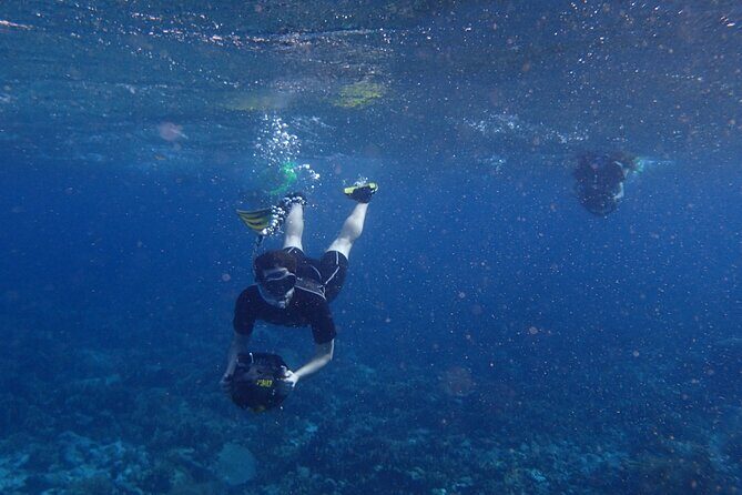 Small-Group Sea Scooters Snorkel at Mangel Halto Beach in Aruba - Sea scooters in Aruba: why Mangel Halto feels different
