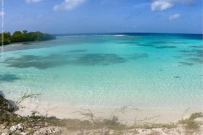 Small Group Snorkeling at Mangel Halto Aruba - Key Things to Know Before You Go
