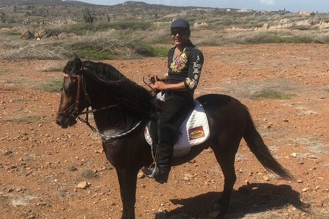 Sunset Horseback Ride in Aruba - Mounting Up: What the Ride Is Really Like for Beginners and Regular Riders