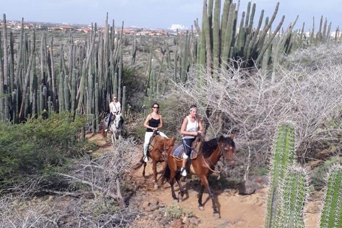 Sunset Horseback Ride in Aruba - Price and Value: Is $130 for 90 Minutes a Fair Deal