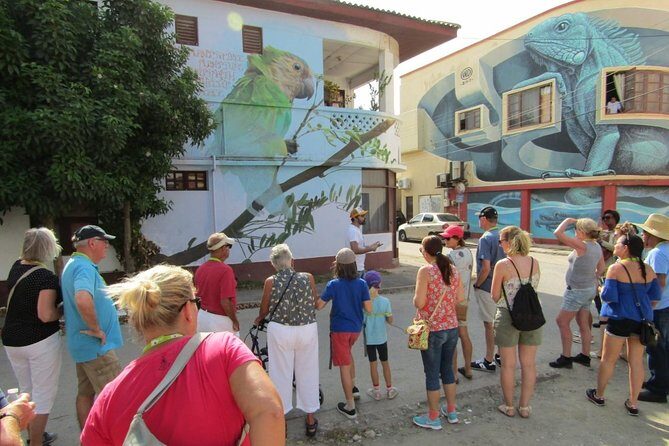 The Whole Story Tour of San Nicolas in Aruba - Potential hiccups: what to keep in mind
