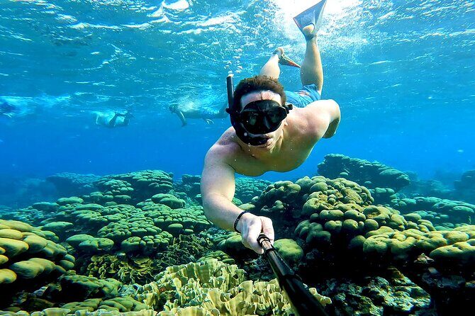 Tropical Dream Snorkel and Dinner Sail in Aruba - Mangel Halto Reef: Your Main Snorkel Stop