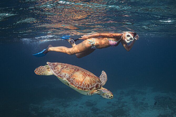 Turtle Snorkeling Aruba: Private Tour with Video - First Steps at Boca Catalina Beach: the tour’s easy start