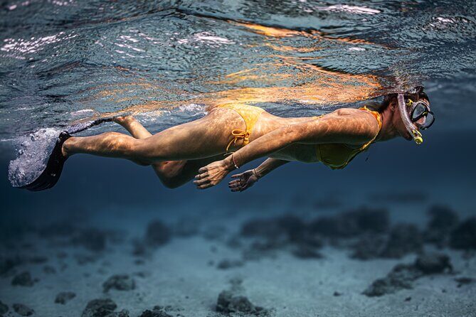 Turtle Snorkeling Aruba: Private Tour with Video - Price vs. what you get in Aruba