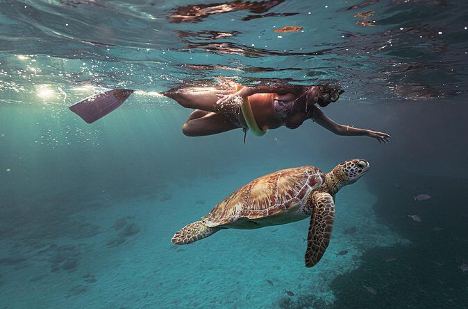 Turtle Snorkeling Aruba: Private Tour with Video - Should you book this turtle snorkeling with video?