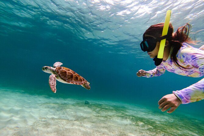 Turtle Snorkeling Tour in Tres Trapi, Aruba - Gear and Safety: Mask Comfort, Life Vests, and Staying Calm