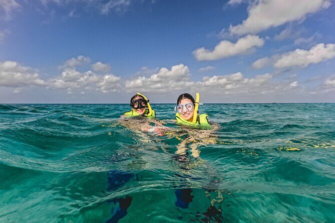 Turtle Snorkeling Tour in Tres Trapi, Aruba - What You’ll See: Turtles Up Close and the Reef’s Other Stars