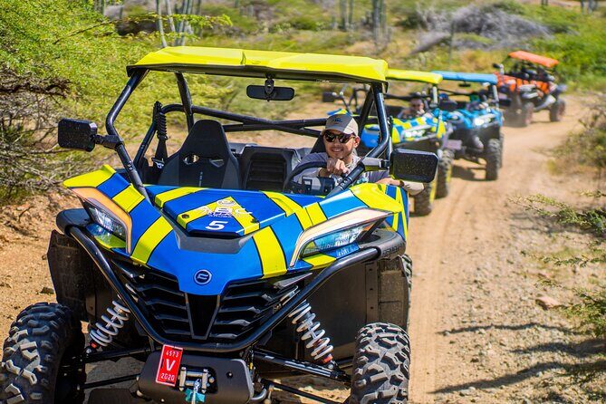Wild Side UTV Tour: Explore the Northern treasure - Blackstone Beach and Wariruri Bridge: Coasts With Attitude